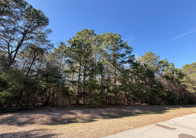 3rd image of 272303 Hitching Post Ct, Magnolia, TX 77355 | MLS# 46265733