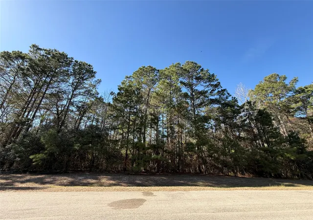 4th image of 272303 Hitching Post Ct, Magnolia, TX 77355 | MLS# 46265733