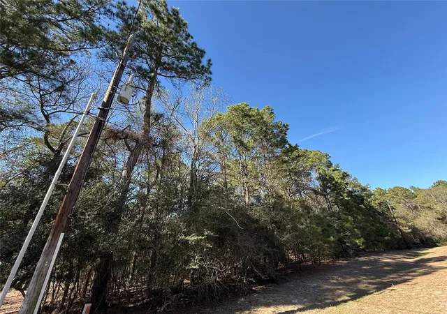5th image of 272303 Hitching Post Ct, Magnolia, TX 77355 | MLS# 46265733