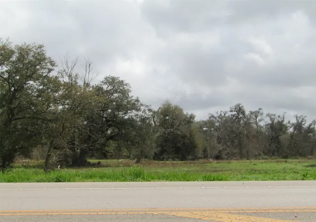 Photo 1 of Land for sale at 2481 Fm 521 Rd, Brazoria, TX 77422 | MLS# 43179862 | Listing updated on 2026-03-10