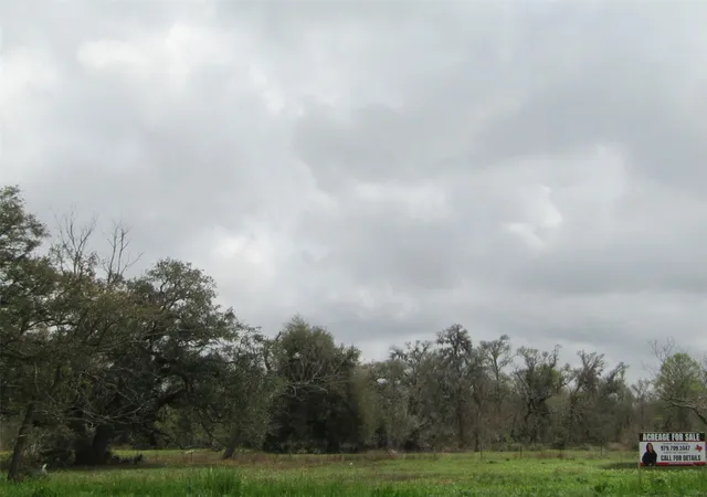 Photo 2 of Land for sale at 2481 Fm 521 Rd, Brazoria, TX 77422 | MLS# 43179862 | Listing updated on 2026-03-10