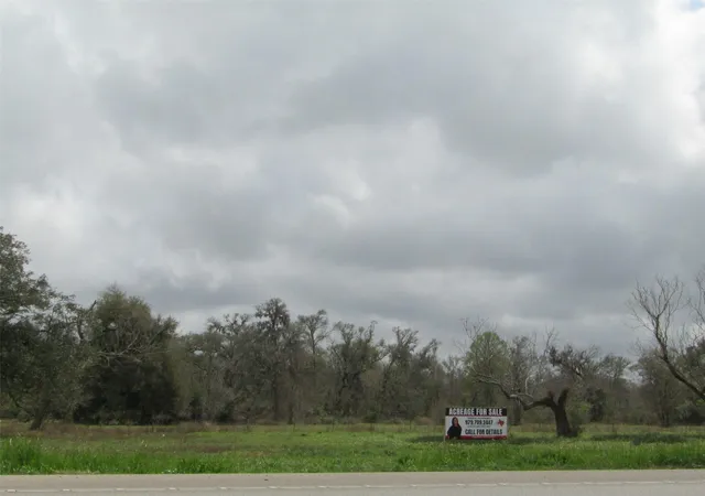 Photo 3 of Land for sale at 2481 Fm 521 Rd, Brazoria, TX 77422 | MLS# 43179862 | Listing updated on 2026-03-10