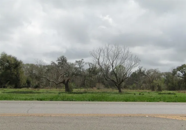 Photo 3 of Land for sale at 2481 Fm 521 Rd, Brazoria, TX 77422 | MLS# 43179862 | Listing updated on 2026-03-10