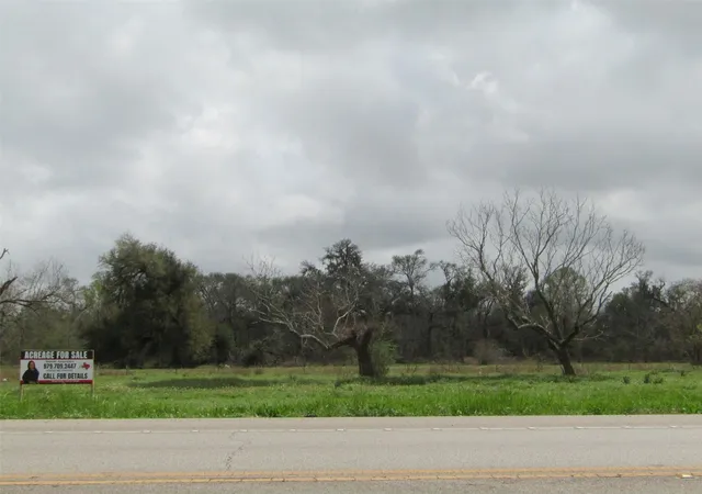 Photo 4 of Land for sale at 2481 Fm 521 Rd, Brazoria, TX 77422 | MLS# 43179862 | Listing updated on 2026-03-10