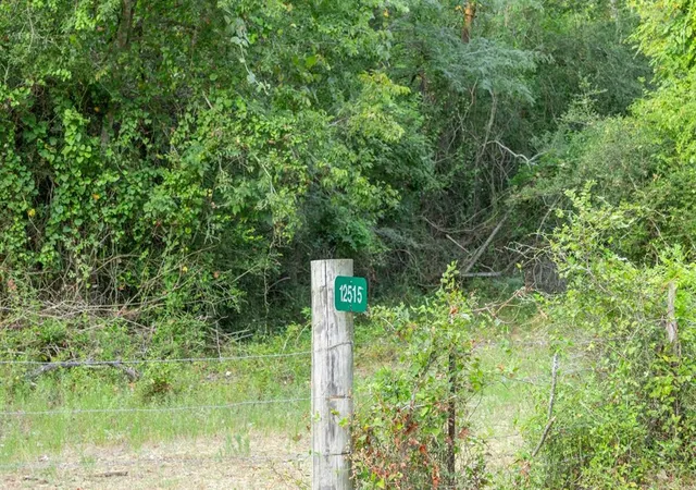 3rd image of 12515 Whitman Rd, Brenham, TX 77833 | MLS# 41975156