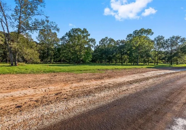 1st image of 6070 Alans Memorial Ln, New Waverly, TX 77358 | MLS# 46832984