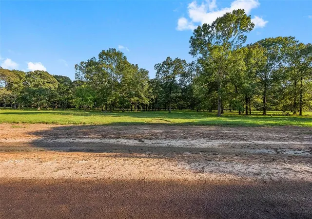 2nd image of 6070 Alans Memorial Ln, New Waverly, TX 77358 | MLS# 46832984