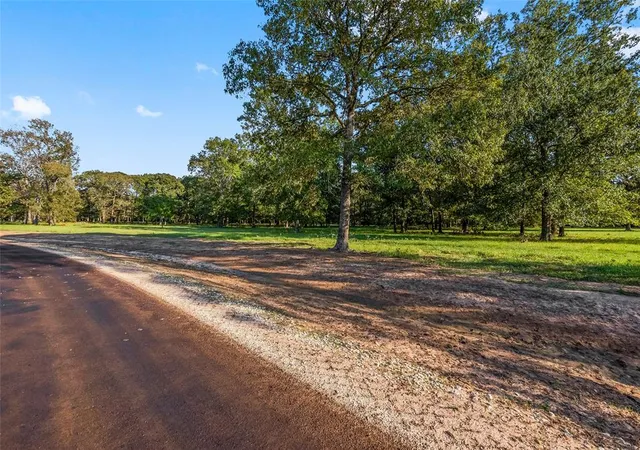 3rd image of 6070 Alans Memorial Ln, New Waverly, TX 77358 | MLS# 46832984