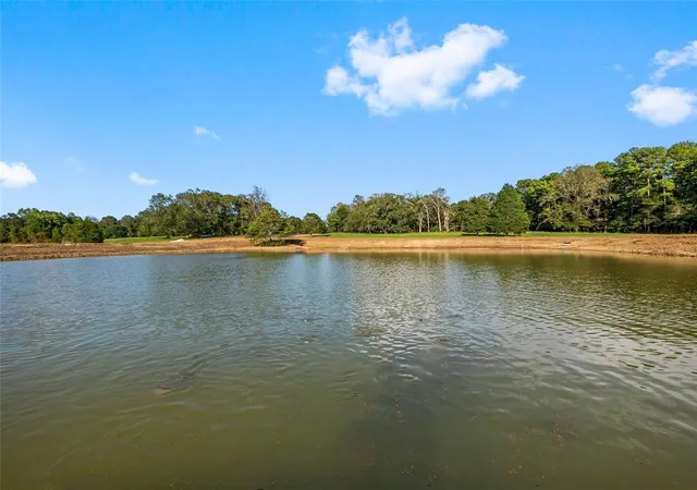 5th image of 6070 Alans Memorial Ln, New Waverly, TX 77358 | MLS# 46832984