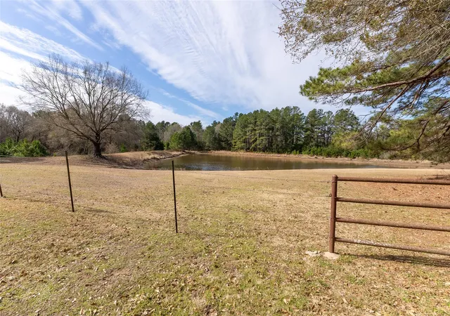 Homes for sale in Leona, TX | 7824 Pr 1190, Leona, TX 75850 | MLS# 24338198