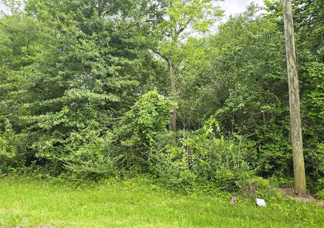 Photo 1 of Land for sale at 0 E Ave G Tbd, Conroe, TX 77301 | MLS# 50551931 | Listing updated on 2026-09-16