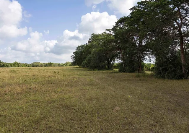 Homes for sale in Flatonia, TX | Tbd Stryk Rd, Flatonia, TX 78941 | MLS# 34913298