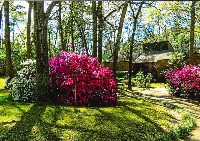 Photo 3 of Single family home for sale at 1776 Avenue S, Huntsville, TX 77340 | MLS# 54086195 | Listing updated on 2026-09-28