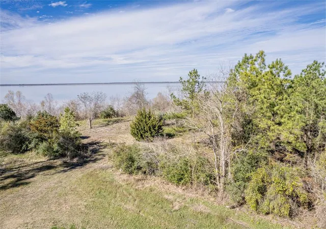 2nd image of 0 Fahring St, Anahuac, TX 77514 | MLS# 18334296