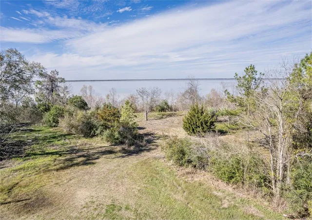 3rd image of 0 Fahring St, Anahuac, TX 77514 | MLS# 18334296