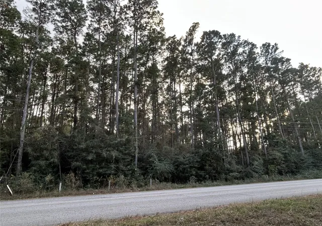 2nd image of 28655 Joseph Rd, Hockley, TX 77447 | MLS# 70886043