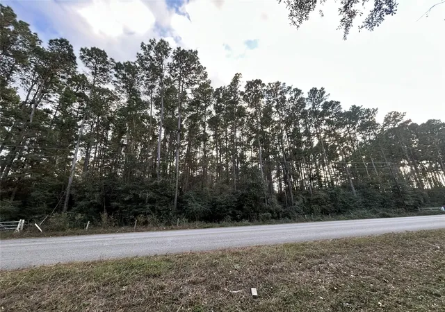 3rd image of 28655 Joseph Rd, Hockley, TX 77447 | MLS# 70886043