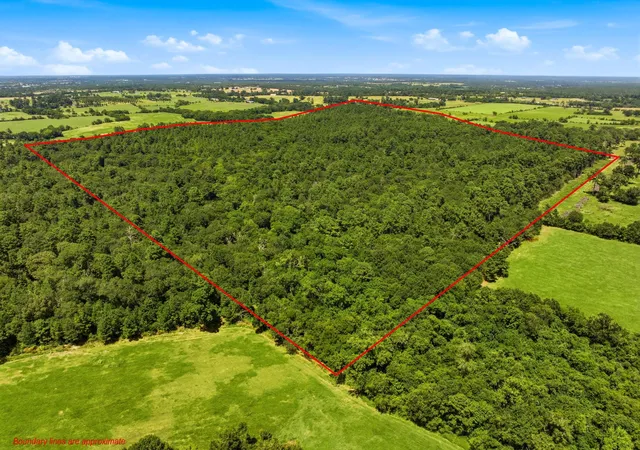 Photo 1 of Land for sale at 11825 Acres Cr 278c, Anderson, TX 77830 | MLS# 49266440 | Listing updated on 2026-08-05