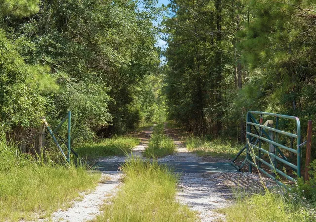 Photo 3 of Land for sale at 11825 Acres Cr 278c, Anderson, TX 77830 | MLS# 49266440 | Listing updated on 2026-08-05