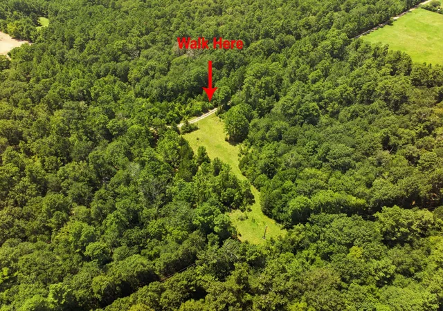 Photo 4 of Land for sale at 11825 Acres Cr 278c, Anderson, TX 77830 | MLS# 49266440 | Listing updated on 2026-08-05