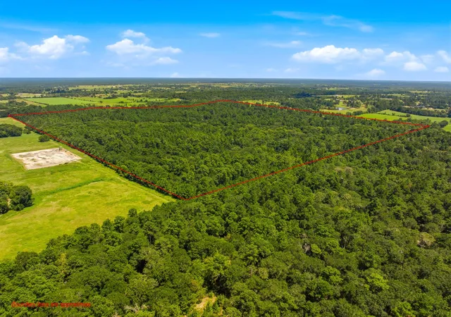 Photo 8 of Land for sale at 11825 Acres Cr 278c, Anderson, TX 77830 | MLS# 49266440 | Listing updated on 2026-08-05