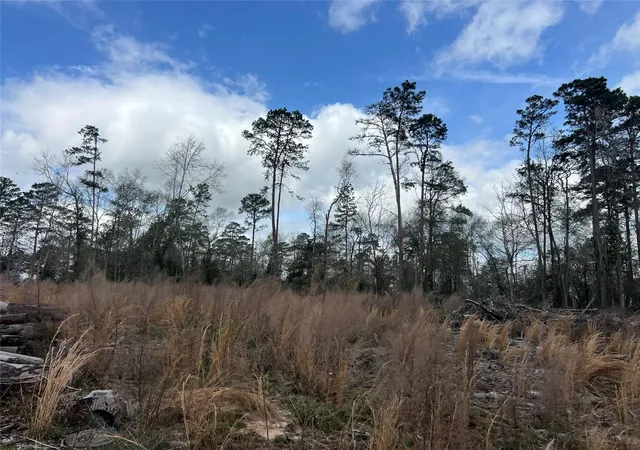 1st image of Tbd Three Bridges Rd, Livingston, TX 77351 | MLS# 86375737
