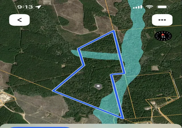 22nd image of Tbd Three Bridges Rd, Livingston, TX 77351 | MLS# 86375737