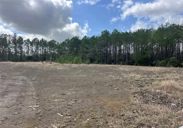 2nd image of Tbd Three Bridges Rd, Livingston, TX 77351 | MLS# 86375737