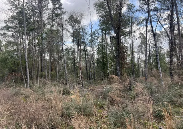 3rd image of Tbd Three Bridges Rd, Livingston, TX 77351 | MLS# 86375737