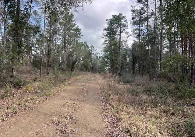 4th image of Tbd Three Bridges Rd, Livingston, TX 77351 | MLS# 86375737
