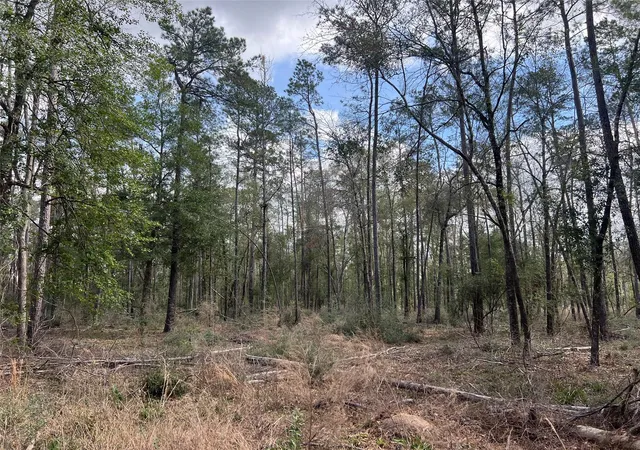 5th image of Tbd Three Bridges Rd, Livingston, TX 77351 | MLS# 86375737