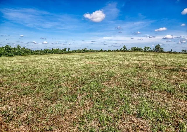 15th image of Tract 3   Asa Hoxie Road E, Brenham, TX 77833 | MLS# 15767033