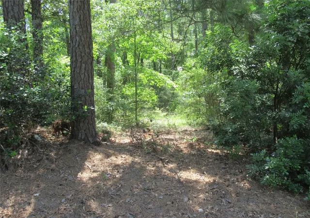25th image of 375 Noel, Livingston, TX 77351 | MLS# 6276921