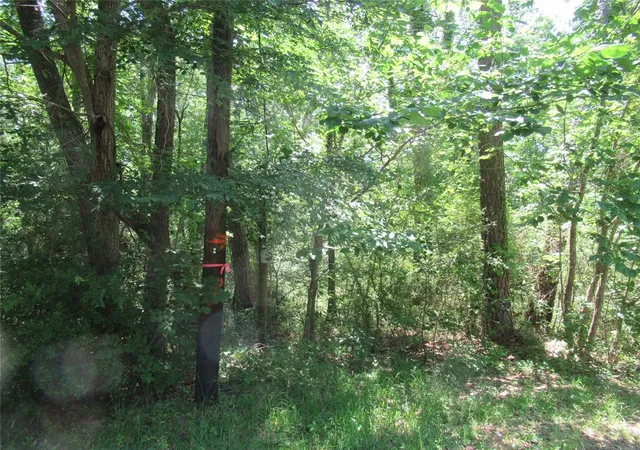 2nd image of 375 Noel, Livingston, TX 77351 | MLS# 6276921