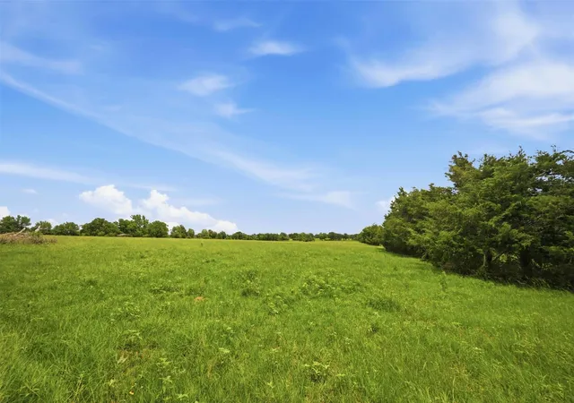 Homes for sale in Franklin, TX | Tract 2 Holly Cemetery Rd, Franklin, TX 77856 | MLS# 10619576