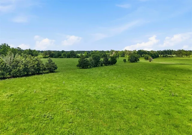 Homes for sale in Franklin, TX | Tract 2 Holly Cemetery Rd, Franklin, TX 77856 | MLS# 10619576