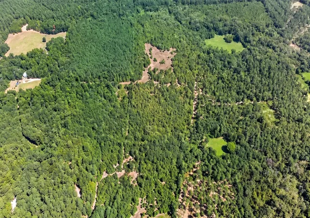3rd image of 10875 Fm 1972, Gilmer, TX 75645 | MLS# 91265716