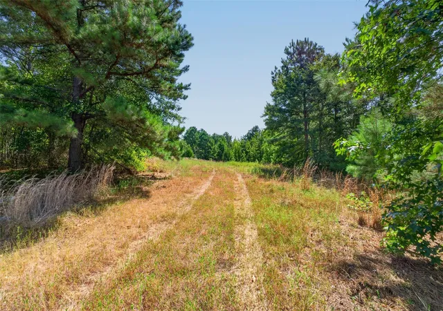 45th image of 10875 Fm 1972, Gilmer, TX 75645 | MLS# 91265716