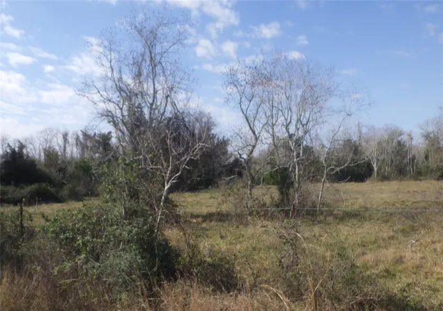 Photo 3 of Land for sale at 0000, Texas City, TX 77590 | MLS# 61303962 | Listing updated on 2026-07-07