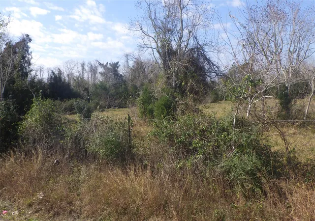 Photo 3 of Land for sale at --, Texas City, TX 77590 | MLS# 61303962 | Listing updated on 2026-07-07