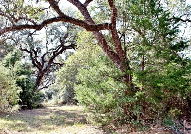 1st image of Parcel 13 Lobo Lane, Columbus, TX 78934 | MLS# 96691632