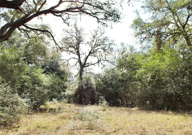 2nd image of Parcel 13 Lobo Lane, Columbus, TX 78934 | MLS# 96691632