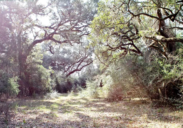 4th image of Parcel 13 Lobo Lane, Columbus, TX 78934 | MLS# 96691632