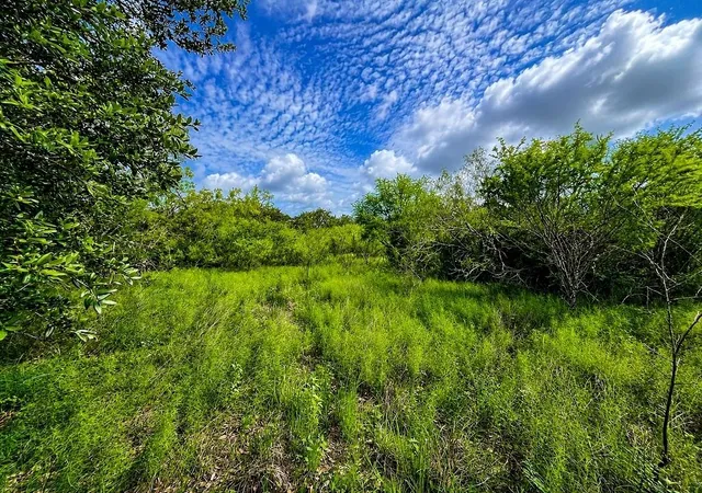 Homes for sale in Columbus, TX | Tbd Water Oak Rd, Columbus, TX 78934 | MLS# 89188009