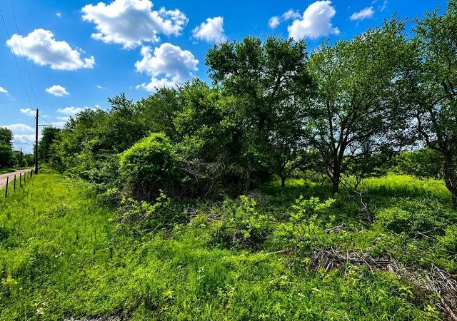 Homes for sale in Columbus, TX | Tbd Water Oak Rd, Columbus, TX 78934 | MLS# 89188009