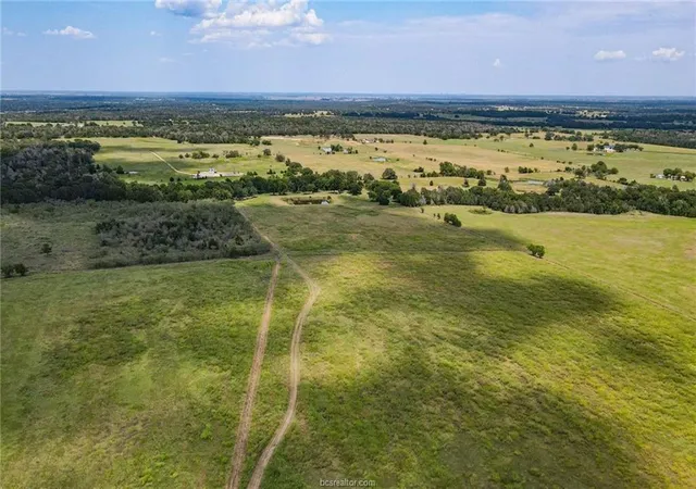 17th image of Tbd Fm 166   54 Acres, Caldwell, TX 77836 | MLS# 29720335