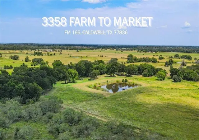 1st image of Tbd Fm 166   54 Acres, Caldwell, TX 77836 | MLS# 29720335