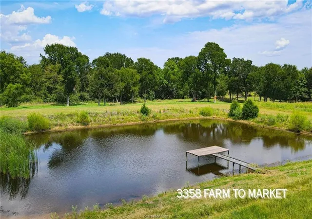 2nd image of Tbd Fm 166   54 Acres, Caldwell, TX 77836 | MLS# 29720335