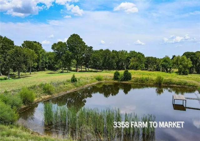Photo 3 of Land for sale at Tbd Fm 166 54 Acres, Caldwell, TX 77836 | MLS# 29720335 | Listing updated on 2026-06-17