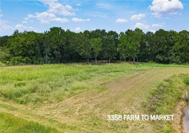 Photo 3 of Land for sale at Tbd Fm 166 54 Acres, Caldwell, TX 77836 | MLS# 29720335 | Listing updated on 2026-06-17
